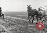 Image of cotton picking United States USA, 1920, second 9 stock footage video 65675066804
