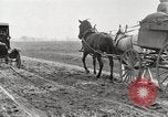 Image of cotton picking United States USA, 1920, second 10 stock footage video 65675066804