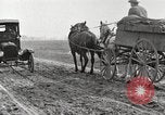 Image of cotton picking United States USA, 1920, second 12 stock footage video 65675066804