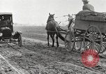 Image of cotton picking United States USA, 1920, second 13 stock footage video 65675066804