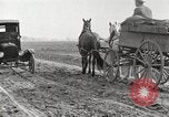 Image of cotton picking United States USA, 1920, second 17 stock footage video 65675066804