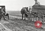 Image of cotton picking United States USA, 1920, second 18 stock footage video 65675066804