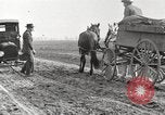 Image of cotton picking United States USA, 1920, second 19 stock footage video 65675066804