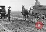 Image of cotton picking United States USA, 1920, second 24 stock footage video 65675066804