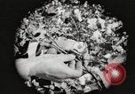 Image of cotton picking United States USA, 1920, second 27 stock footage video 65675066804