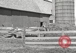 Image of farm yard United States USA, 1920, second 4 stock footage video 65675066805