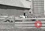 Image of farm yard United States USA, 1920, second 6 stock footage video 65675066805