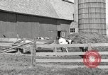 Image of farm yard United States USA, 1920, second 7 stock footage video 65675066805