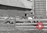 Image of farm yard United States USA, 1920, second 8 stock footage video 65675066805