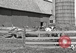 Image of farm yard United States USA, 1920, second 9 stock footage video 65675066805