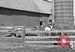 Image of farm yard United States USA, 1920, second 10 stock footage video 65675066805