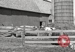 Image of farm yard United States USA, 1920, second 11 stock footage video 65675066805
