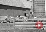Image of farm yard United States USA, 1920, second 13 stock footage video 65675066805