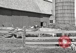 Image of farm yard United States USA, 1920, second 14 stock footage video 65675066805