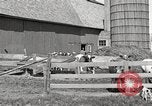 Image of farm yard United States USA, 1920, second 17 stock footage video 65675066805
