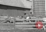 Image of farm yard United States USA, 1920, second 18 stock footage video 65675066805