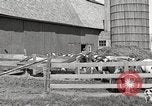 Image of farm yard United States USA, 1920, second 19 stock footage video 65675066805
