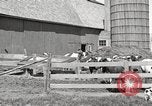 Image of farm yard United States USA, 1920, second 20 stock footage video 65675066805
