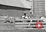 Image of farm yard United States USA, 1920, second 21 stock footage video 65675066805