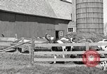 Image of farm yard United States USA, 1920, second 22 stock footage video 65675066805
