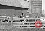 Image of farm yard United States USA, 1920, second 24 stock footage video 65675066805