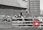 Image of farm yard United States USA, 1920, second 26 stock footage video 65675066805