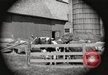 Image of farm yard United States USA, 1920, second 27 stock footage video 65675066805