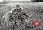 Image of wheat field United States USA, 1920, second 11 stock footage video 65675066806
