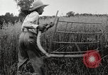 Image of wheat field United States USA, 1920, second 23 stock footage video 65675066806