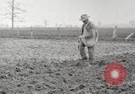 Image of planting of potatoes United States USA, 1920, second 4 stock footage video 65675066807