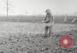 Image of planting of potatoes United States USA, 1920, second 5 stock footage video 65675066807