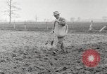 Image of planting of potatoes United States USA, 1920, second 6 stock footage video 65675066807