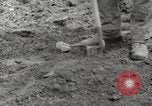 Image of planting of potatoes United States USA, 1920, second 8 stock footage video 65675066807