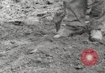 Image of planting of potatoes United States USA, 1920, second 9 stock footage video 65675066807