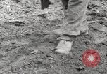 Image of planting of potatoes United States USA, 1920, second 10 stock footage video 65675066807