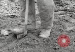 Image of planting of potatoes United States USA, 1920, second 11 stock footage video 65675066807