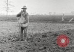 Image of planting of potatoes United States USA, 1920, second 15 stock footage video 65675066807