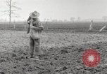 Image of planting of potatoes United States USA, 1920, second 17 stock footage video 65675066807