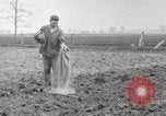 Image of planting of potatoes United States USA, 1920, second 19 stock footage video 65675066807