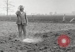 Image of planting of potatoes United States USA, 1920, second 20 stock footage video 65675066807