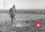 Image of planting of potatoes United States USA, 1920, second 21 stock footage video 65675066807