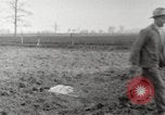Image of planting of potatoes United States USA, 1920, second 23 stock footage video 65675066807