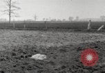 Image of planting of potatoes United States USA, 1920, second 24 stock footage video 65675066807