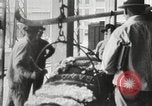 Image of cotton warehouse New Orleans Louisiana USA, 1917, second 37 stock footage video 65675066816