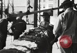 Image of cotton warehouse New Orleans Louisiana USA, 1917, second 47 stock footage video 65675066816