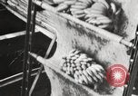 Image of unloading of bananas New Orleans Louisiana USA, 1917, second 8 stock footage video 65675066817