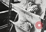 Image of unloading of bananas New Orleans Louisiana USA, 1917, second 9 stock footage video 65675066817