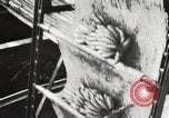 Image of unloading of bananas New Orleans Louisiana USA, 1917, second 10 stock footage video 65675066817