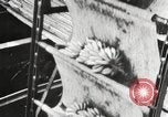 Image of unloading of bananas New Orleans Louisiana USA, 1917, second 12 stock footage video 65675066817