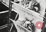 Image of unloading of bananas New Orleans Louisiana USA, 1917, second 15 stock footage video 65675066817